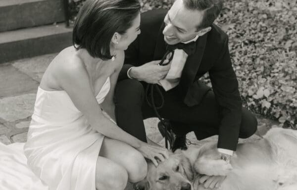 Pet Care Category Vendor Gallery Wedding Wags Wedding Wags