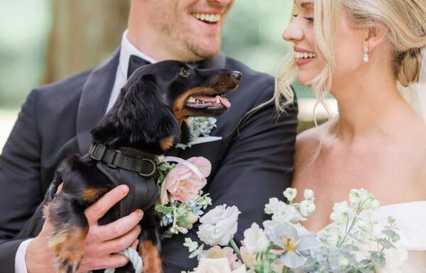 Pet Care Category Vendor Gallery Wedding Wags Wedding Wags