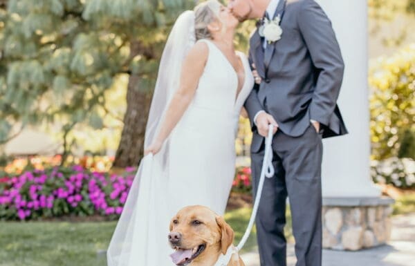 Pet Care Category Vendor Gallery Wedding Wags Wedding Wags