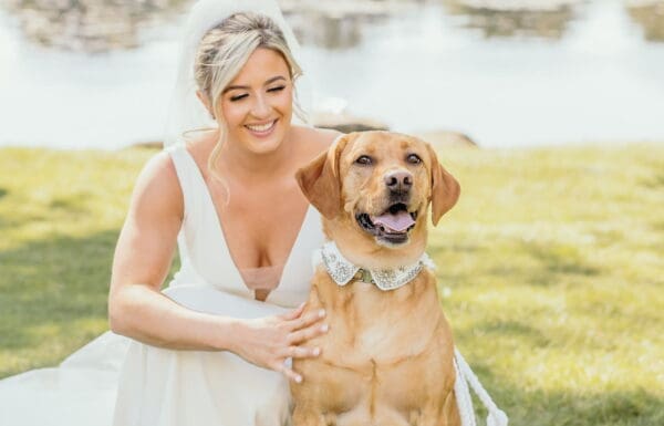 Pet Care Category Vendor Gallery Wedding Wags Wedding Wags