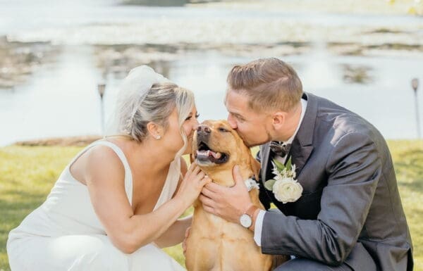 Pet Care Category Vendor Gallery Wedding Wags Wedding Wags